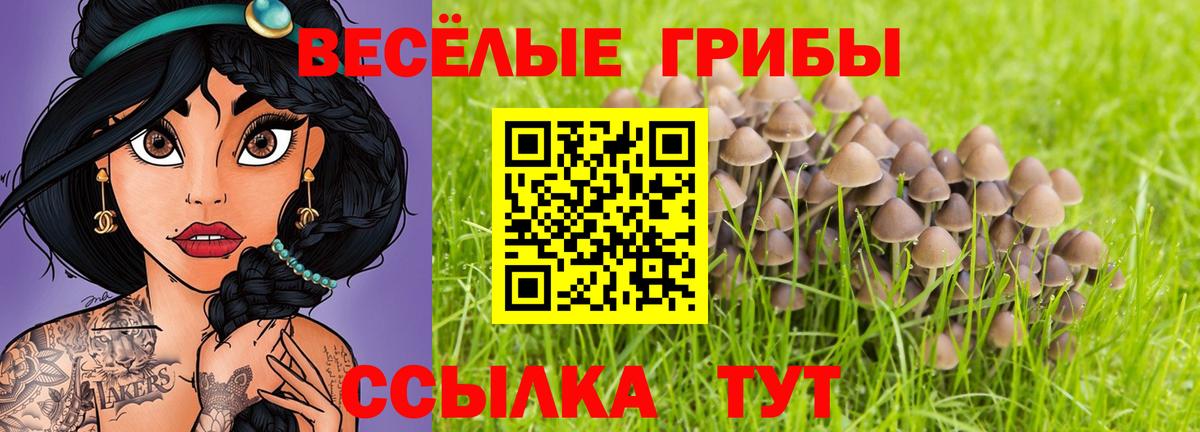 Избербаш  Псилоцибиновые грибы мицелий  Вход с VPN 