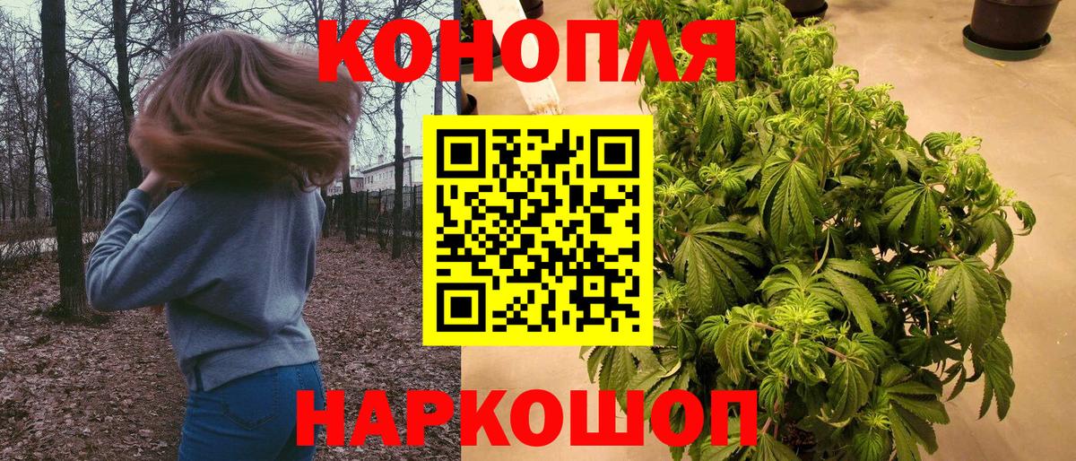 Конопля OG Kush  Бошки Шишки план  Вход с VPN  Избербаш 
